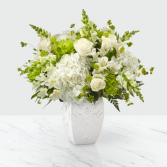PEACE AND HOPE - GREEN SYMPATHY