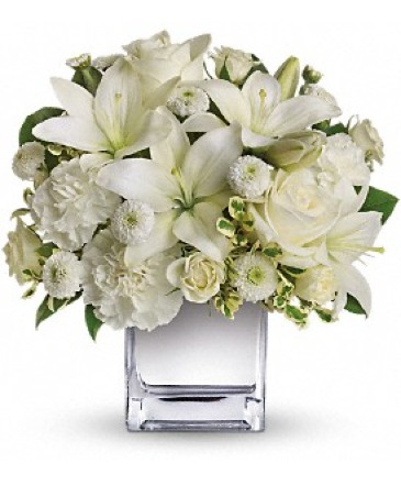 SILVER ELEGANCE FLOWER ARRANGEMENT in Hampstead, NC | Surf City Florist