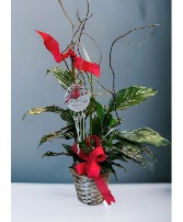 Peace and Remembrance Peace Lily and Cardinal Windchime