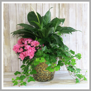 Always Peaceful Planter
