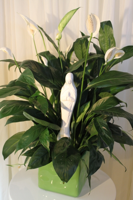 PEACE BE WITH YOU Plant with Madonna Statue