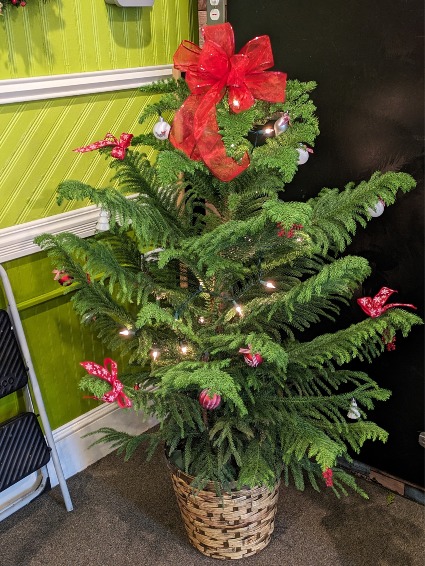 Peace & Joy Norfolk Pine Tree Christmas