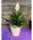 Purchase this funeral home arrangement