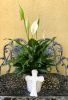 Purchase this funeral home arrangement