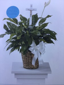 Peace lily plant Plant in basket with ribbon and a cross