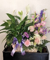 Peace Lily Plant with Arrangement  Plant with arrangement Basket 