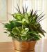 Purchase this funeral home arrangement