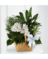 Peace & Serenity Dishgarden 