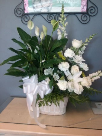 Peace & serenity Plant with mixed flowers