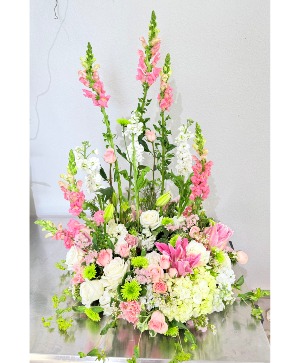 Peaceful arrangement 