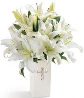 Peaceful Blessings Vase Arrangement in Sunrise, FL | FLORIST24HRS.COM Peaceful Blessings Vase Arrangement in Sunrise, FL | FLORIST24HRS.COM
