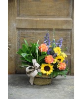 Peaceful Blooms Plant and Fresh Flower Basket