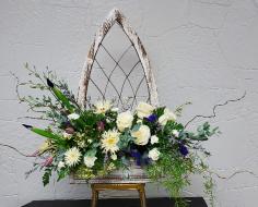Category Image