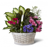 Peaceful Garden Basket 