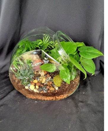 Terrarium Supplies – Corso's Flower & Garden Center