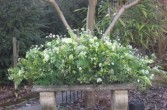 Peaceful Meadows Casket Spray