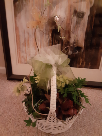 peaceful mixed green plant in basket nice for sympathy and pleasing to the eye