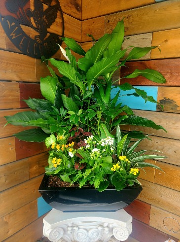 Peaceful Oasis planter in Windsor, ON | K. MICHAEL'S FLOWERS & GIFTS