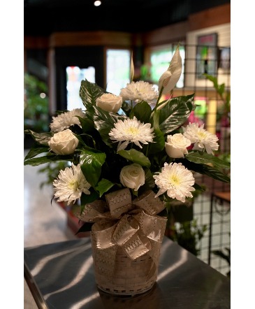 Peaceful Peace Lily With Fresh Flowers in South Milwaukee, WI | PARKWAY FLORAL INC.