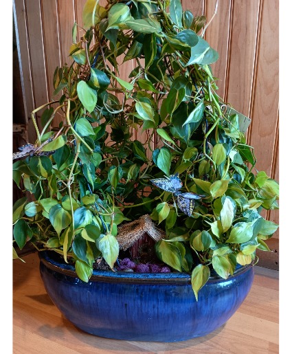 Peaceful Pothos Live Planter