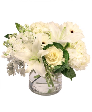 Peaceful Purity Floral Arrangement in Albany, NY | Ambiance Florals & Events