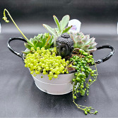  Peaceful succulent Garden Planter