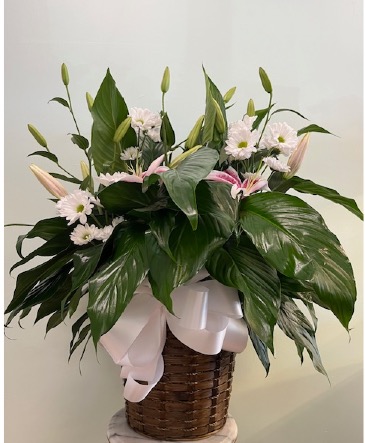 Peaceful Tribute Basket By Enchanted Florist of Cape Coral in Cape Coral, FL | ENCHANTED FLORIST OF CAPE CORAL