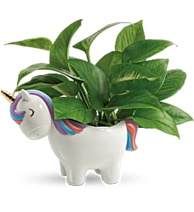 Peaceful Unicorn Planter Teleflora