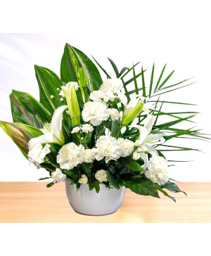 Peaceful: White  Ceramic Pot Arrangement