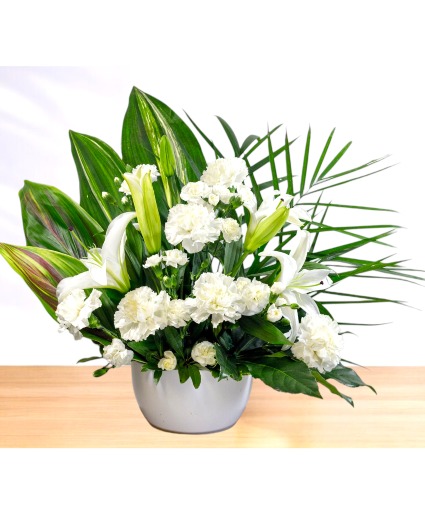Peaceful: White  Ceramic Pot Arrangement
