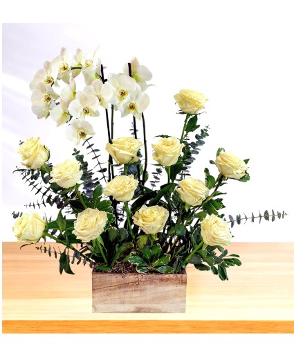 Peaceful: White Dozen with Potted Orchid Plant Wooden Box Arrangement