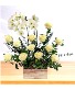 Purchase this funeral home arrangement
