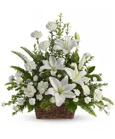 Peaceful White Lilies 