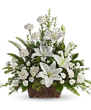 Peaceful White lilies basket sympathy arrangement