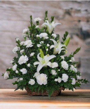 Peaceful White Lily Basket FS-77 Fresh Flower Arrangement (Local Delivery Area Only)
