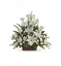 Peaceful White Lily Basket                 T228-1 Fresh Floral Arrangement