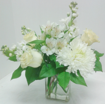 Peaceful Whites in Tottenham, ON | TOTTENHAM FLOWERS & GIFTS Peaceful Whites in Tottenham, ON | TOTTENHAM FLOWERS & GIFTS