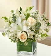 Comforting Moments Bouquet All White Fresh