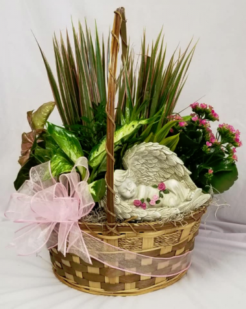Peacefull Garden Live Plant Basket