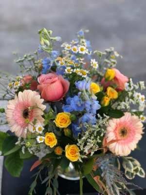 Spring is in Bloom! Low and full