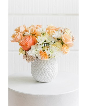 Peach Blossom Delight 