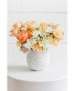 Peach Blossom Delight 