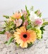 Peach Blossom Fresh Arrangement