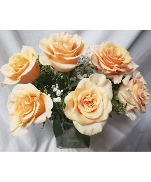 PEACH DELIGHT! 6 BEAUTIFUL PEACH ROSES Arranged in a vase with seasonal filler