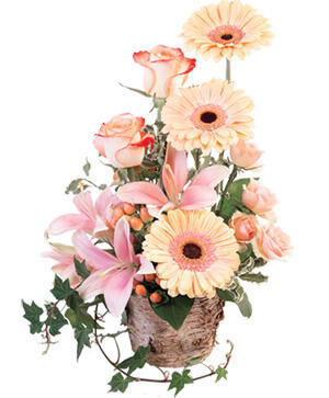 Peach Dreamer Floral Arrangement