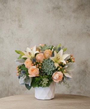 Peach Pie White Cylinder