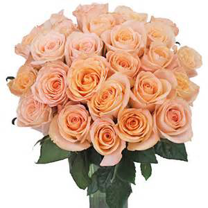 Peach Roses Rose Arrangement 