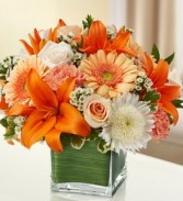 Peach Sorbet Vase arrangement