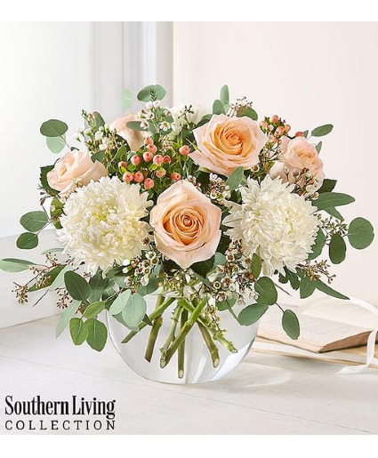 Peach Splendor by Southern Living® 