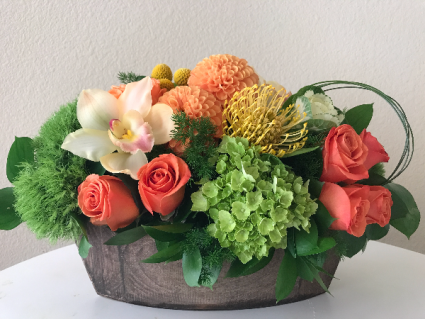 Peachy Blooms